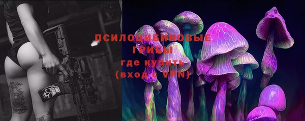 спайс Аркадак