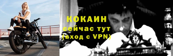 спайс Аркадак