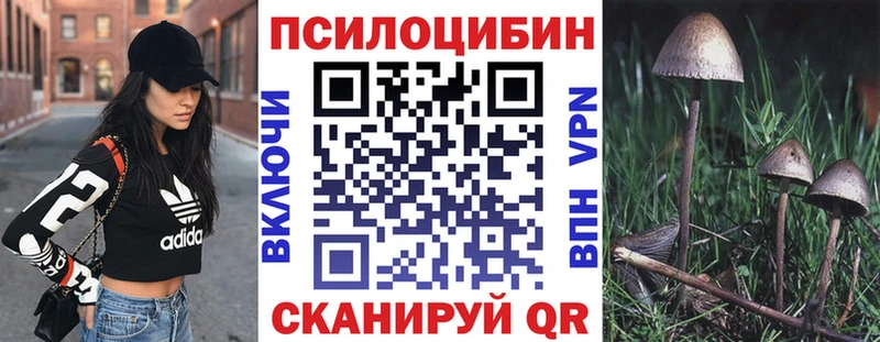 mega онион  Тюкалинск  Галлюциногенные грибы Cubensis 